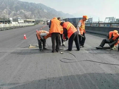 仁寿道路桥梁病害治理